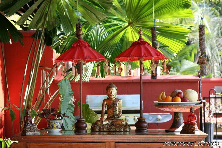 Mai Tai Resort Cassowary Extérieur photo