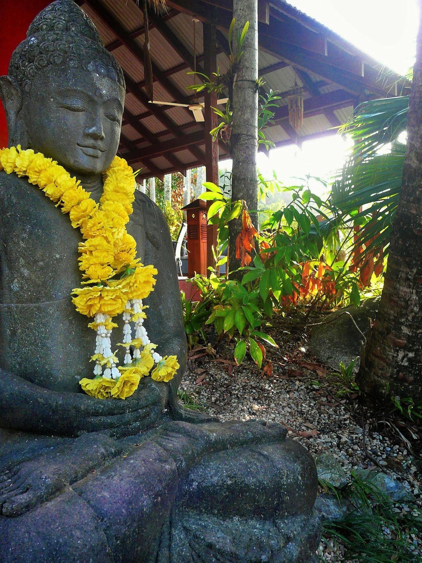 Mai Tai Resort Cassowary Extérieur photo